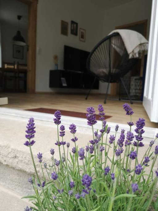 Ferienwohnung Zur Parthe Grimma Eksteriør bilde